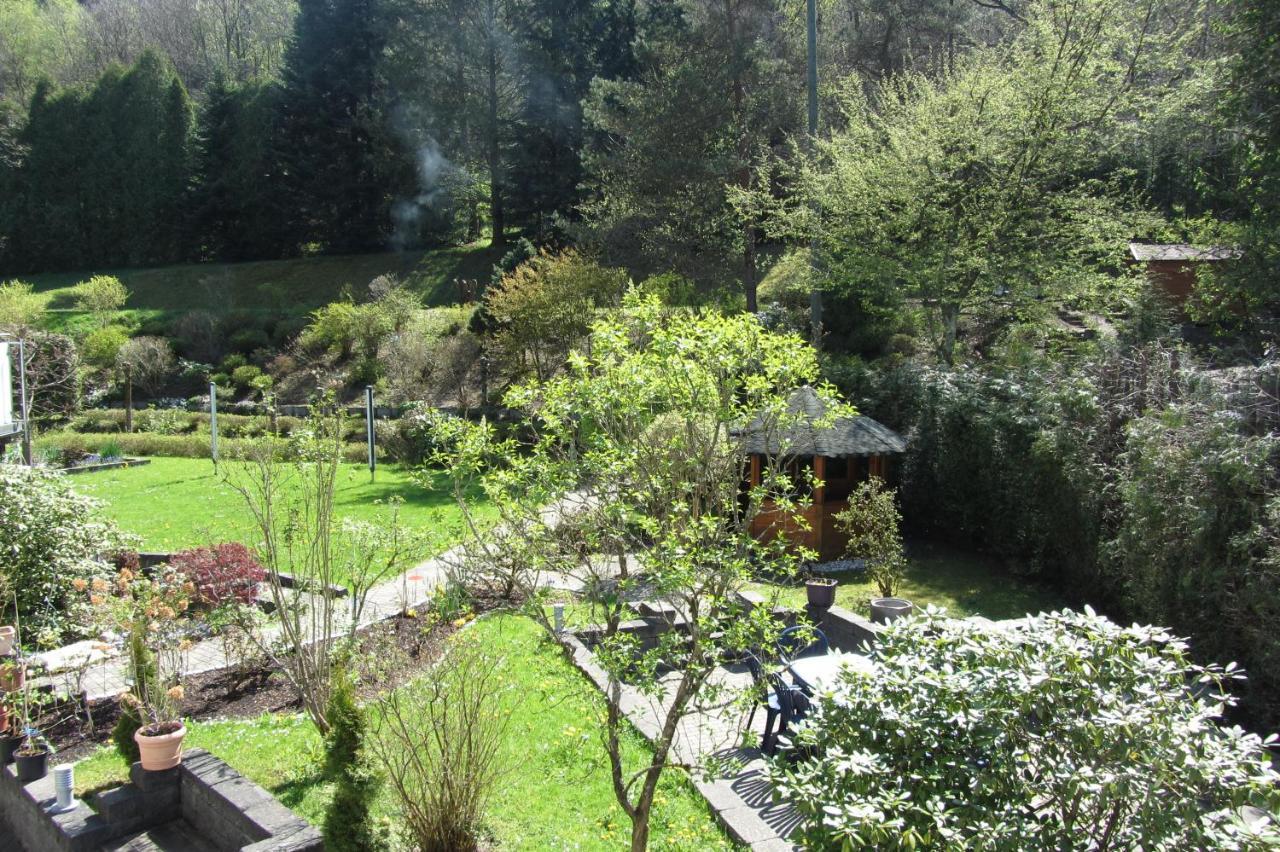 Pension Zum Rothaarsteig Netphen Exterior photo