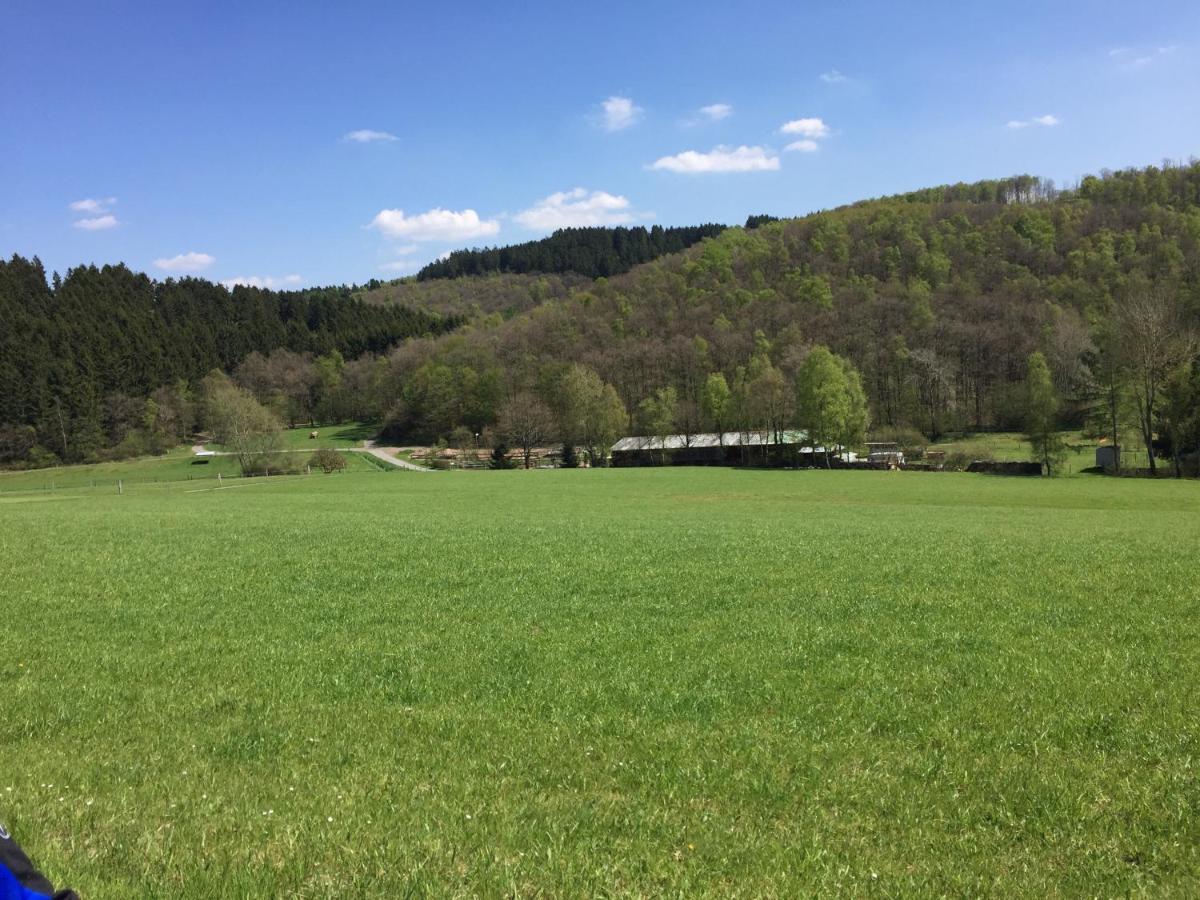 Pension Zum Rothaarsteig Netphen Exterior photo