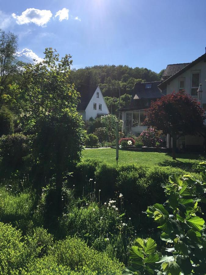Pension Zum Rothaarsteig Netphen Exterior photo